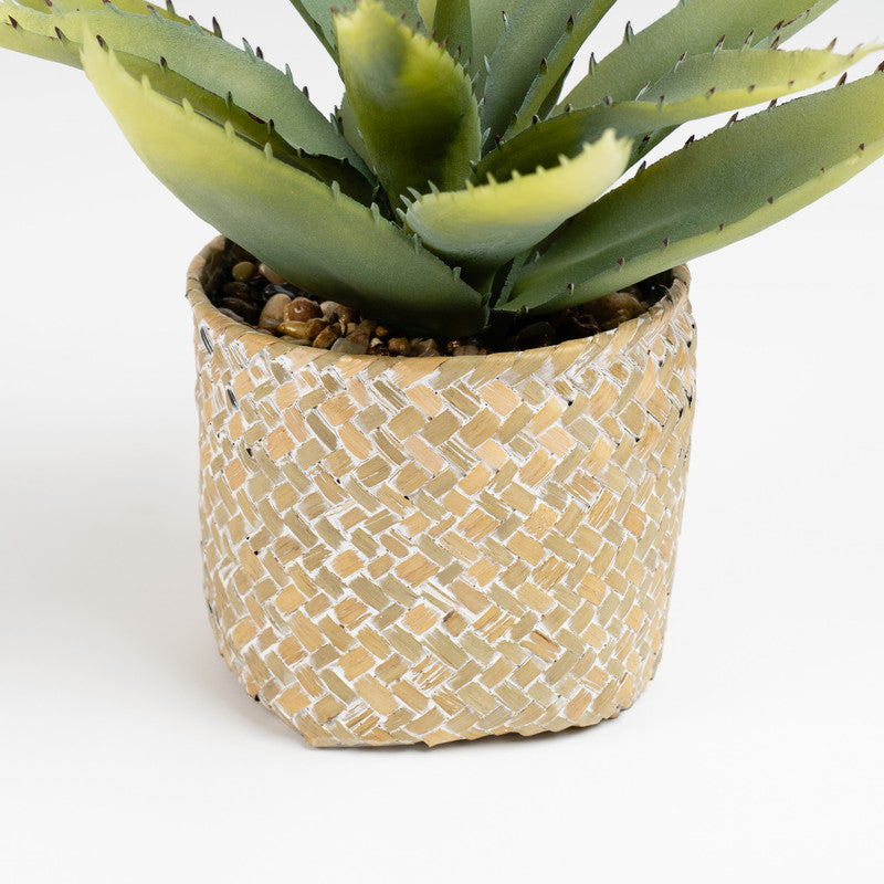 28cm Artificial Aloe Plant in Basket